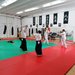 Rakuten Chan DOJO Aikido - Scoala de arte martiale